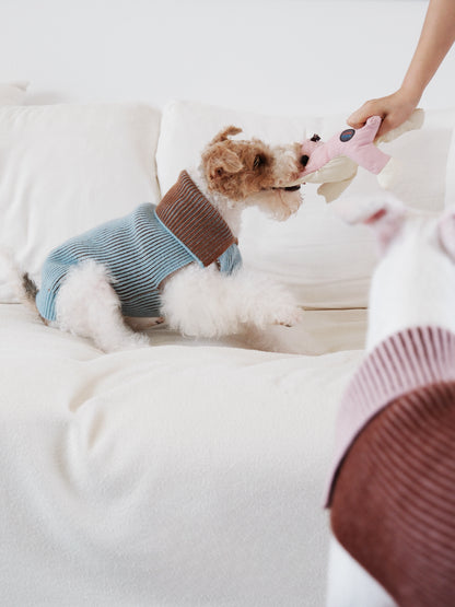 Pet Sweater