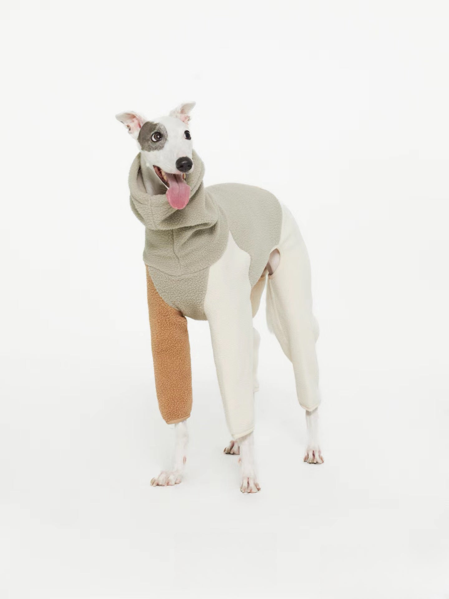 dog onesie