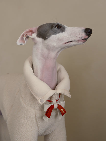 Dog wearing a cozy fleece outfit with a personalized leather collar featuring red accents, part of a designer dog collar and leash collection. Ideal for cute dog collars, cool puppy collars, or cat collars in a New Year design.