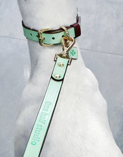 Mint green and smoky brown leather collar with a bow design, featuring Italian handmade craftsmanship. Perfect as a personalized dog collar, designer dog collars, puppy collars, cool dog collars, cute dog collars, leather collar, and cat collar for stylish pets.