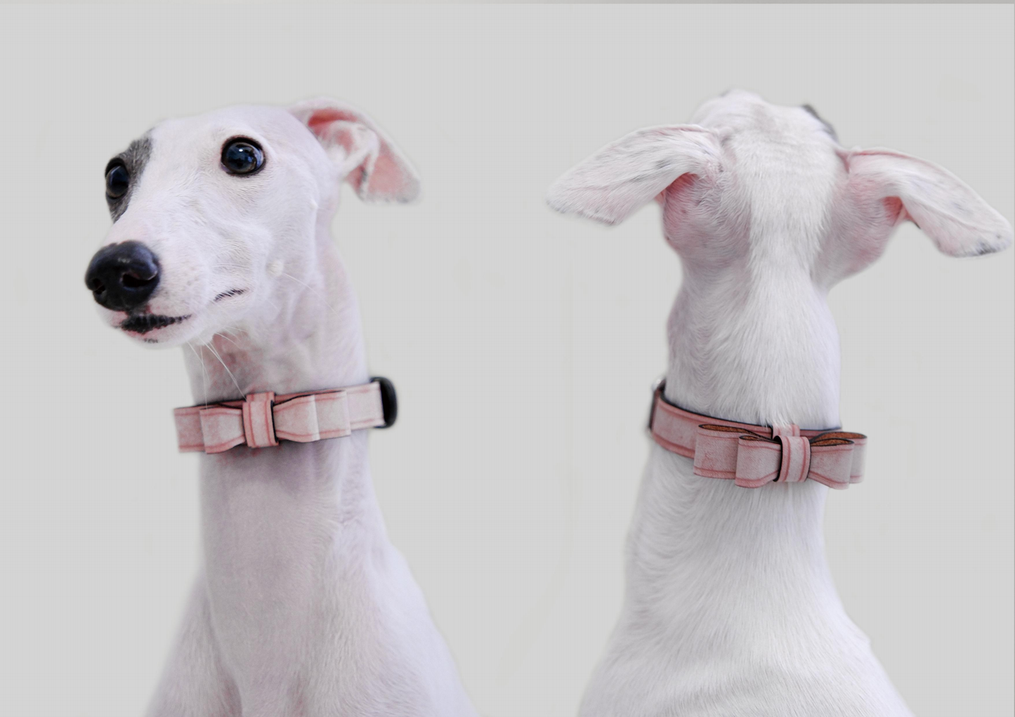 Black Pink leather dog collar with a bowtie design, featuring Italian handmade craftsmanship. Perfect as a personalized dog collar, designer dog collars, puppy collars, cool dog collars, cute dog collars, leather dog collars, and cat collar for stylish pets.