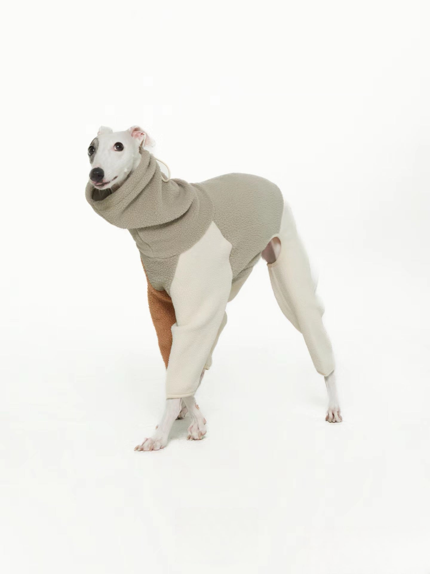 dog onesie