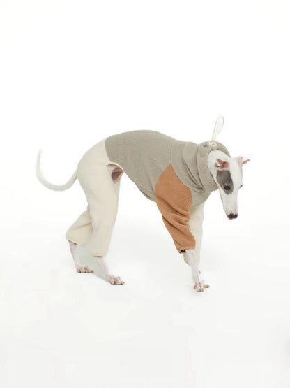 dog onesie