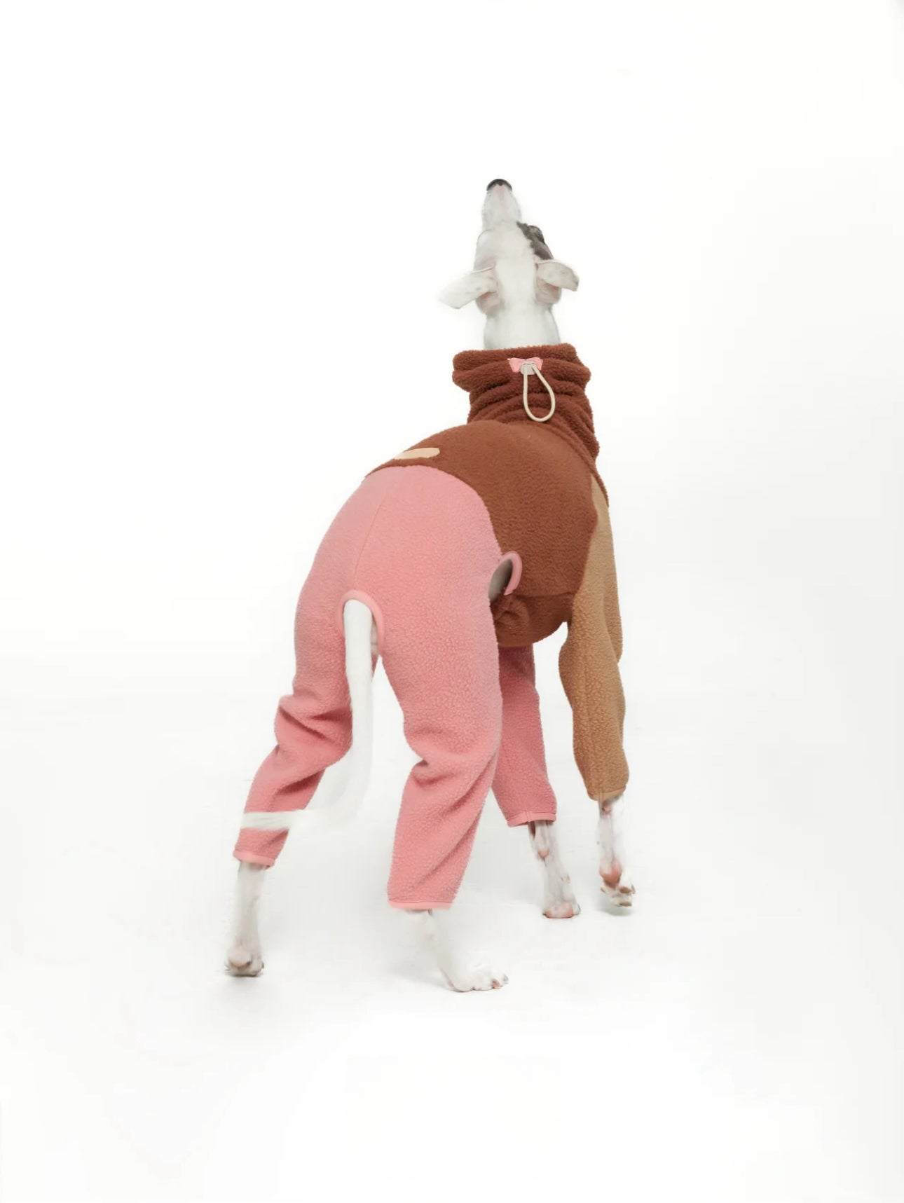 dog sweatshirts onesie