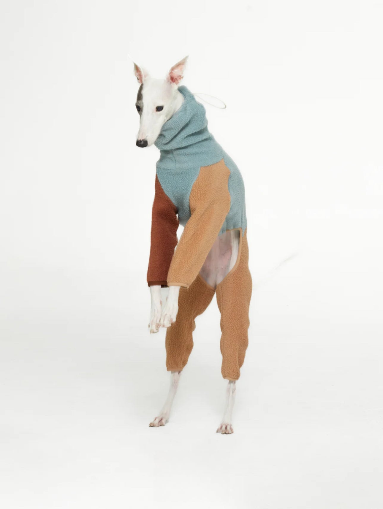 dog sweatshirts onesie