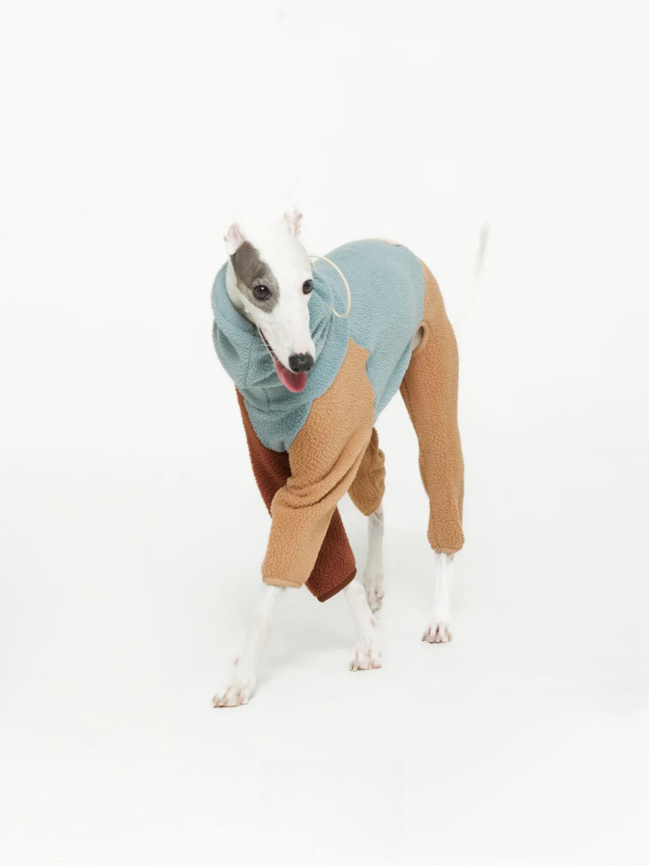 dog sweatshirts onesie