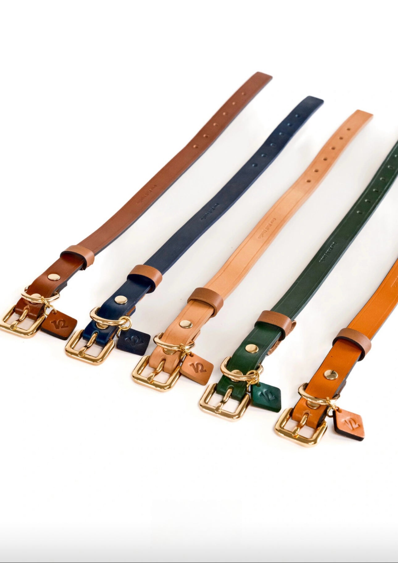 designer leather collar featuring Italian handmade craftsmanship. Perfect as a personalized dog collar, designer dog collars, puppy collars, cool dog collars, cute dog collars, leather collar, and cat collar for stylish pets.