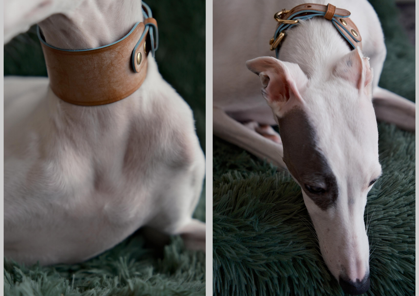 Handmade Wide Matte Wax-Textured top grain Leather Collar and leash- Alpha Fluffy