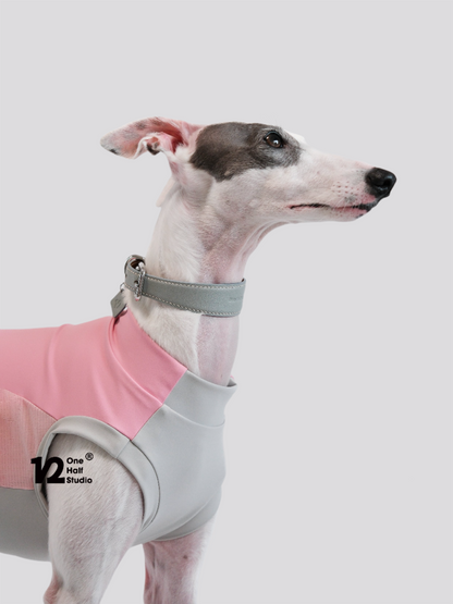 A sleek and stylish Whippet wearing a blush gray and sky blue taupe tank top, showcasing cute dog outfits for large and small dogs. This pet fashion piece highlights trendy and comfortable doggie clothes perfect for fashion-forward pets.